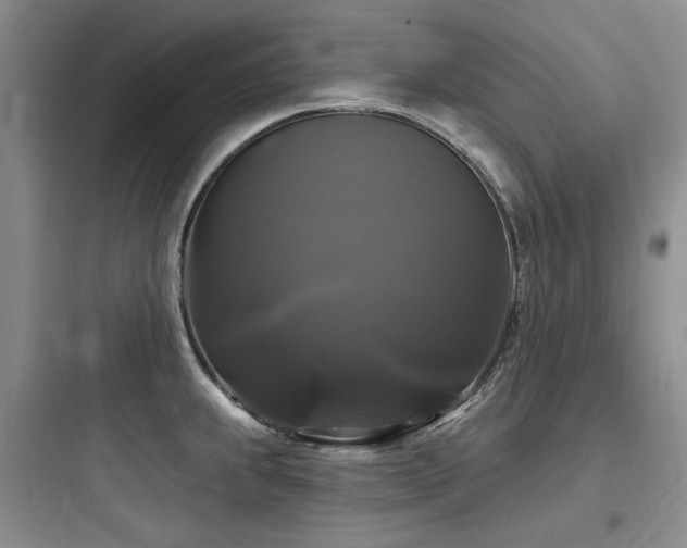 X0000097991239200803241334