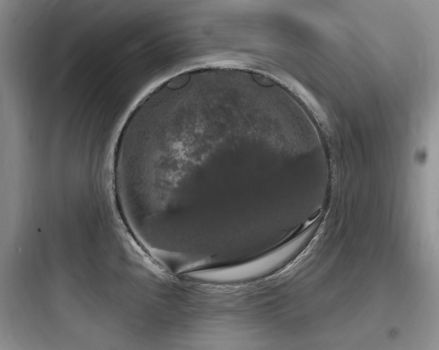X0000097991240200803241334