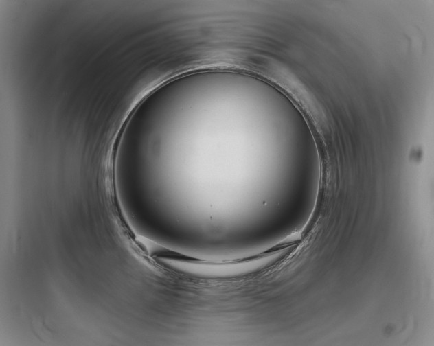 X0000097991242200803241334
