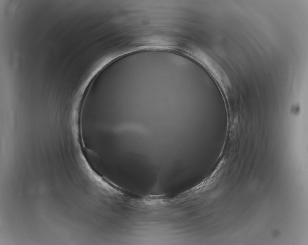 X0000097991243200803241334