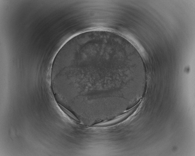 X0000097991244200803241334