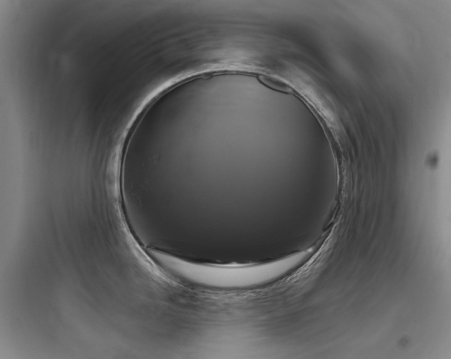 X0000097991246200803241334