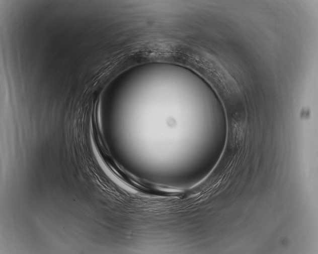 X0000097991250200803241334