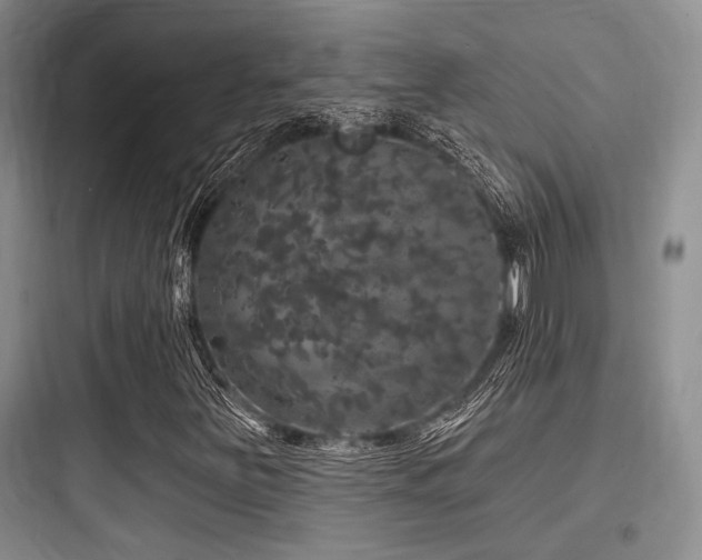 X0000097991251200803241334
