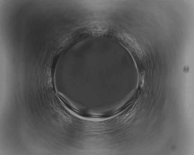 X0000097991252200803241334