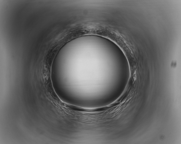 X0000097991253200803241334