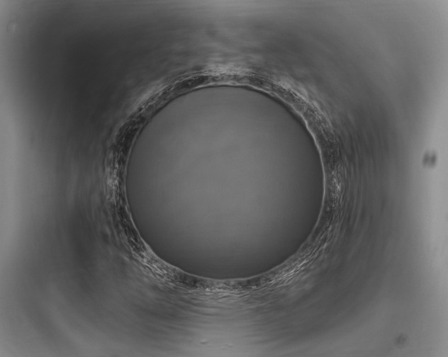 X0000097991254200803241334