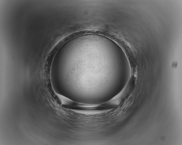 X0000097991256200803241334