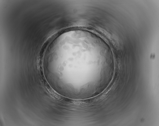 X0000097991258200803241334