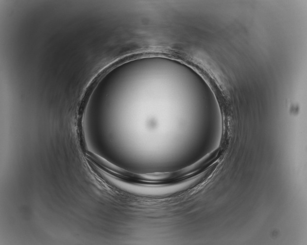 X0000097991260200803241334