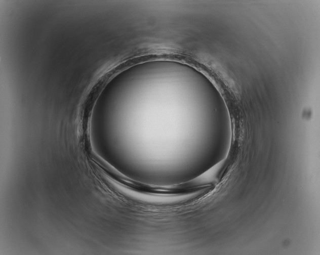 X0000097991261200803241333