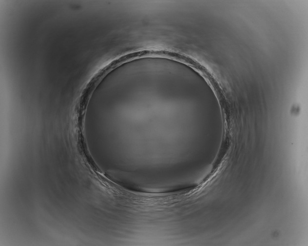 X0000097991263200803241333