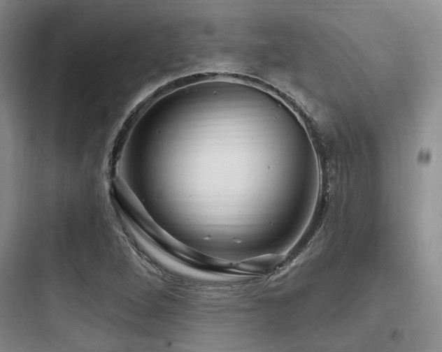 X0000097991264200803241333