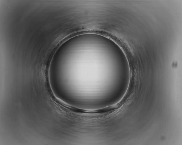 X0000097991265200803241333