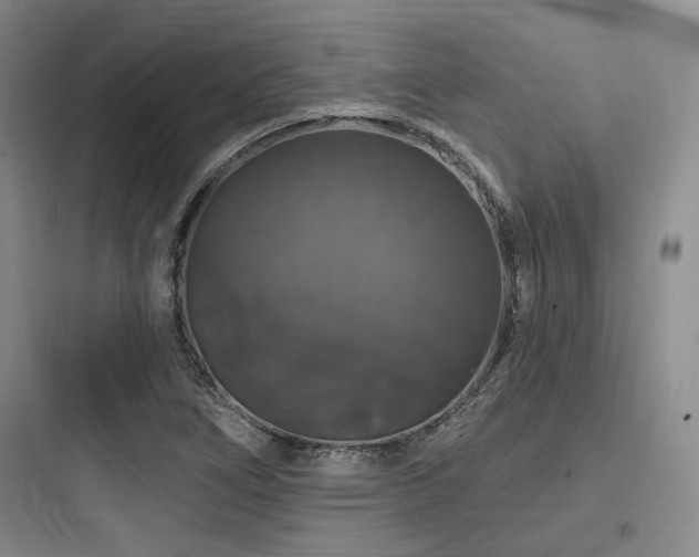 X0000097991266200803241333