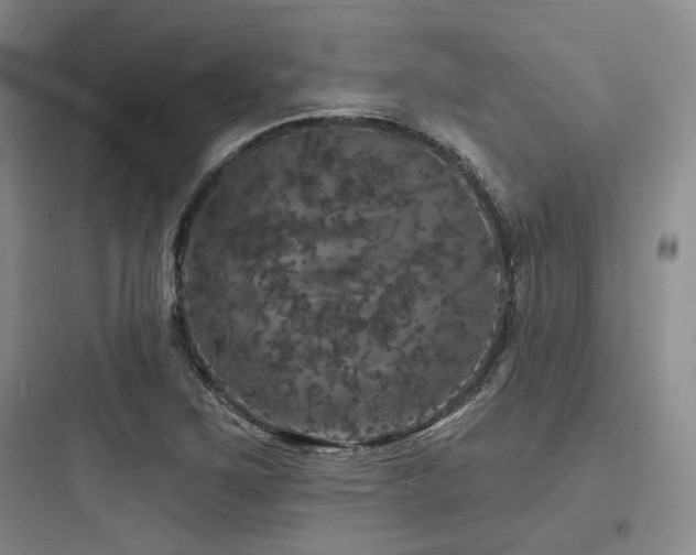 X0000097991267200803241333
