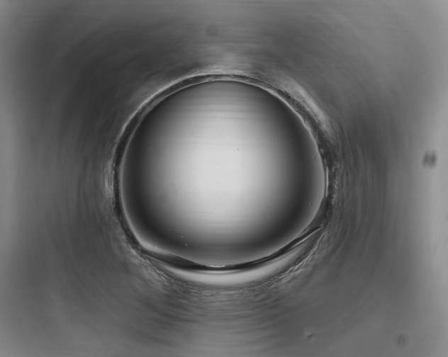 X0000097991268200803241333