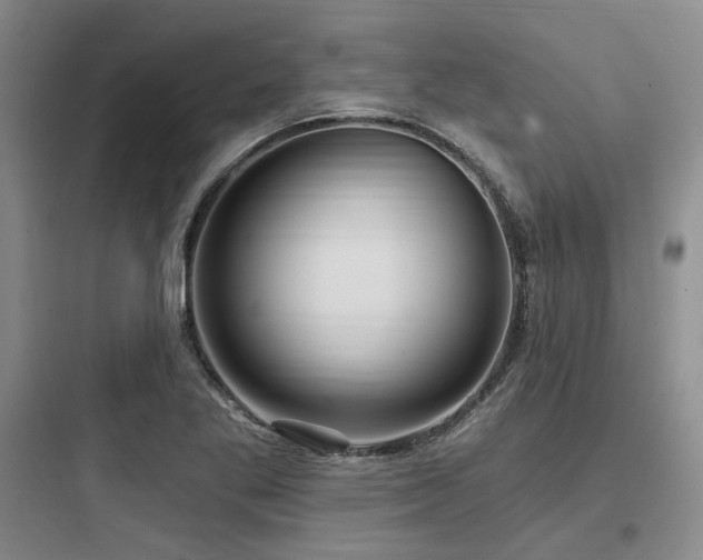 X0000097991269200803241333