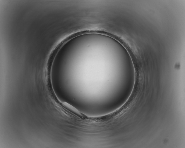 X0000097991270200803241333