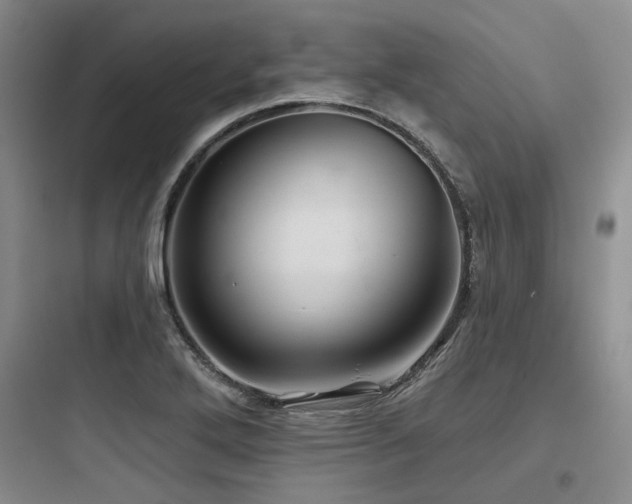 X0000097991272200803241333