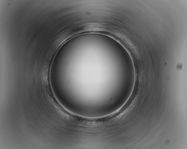 X0000097991273200803241333