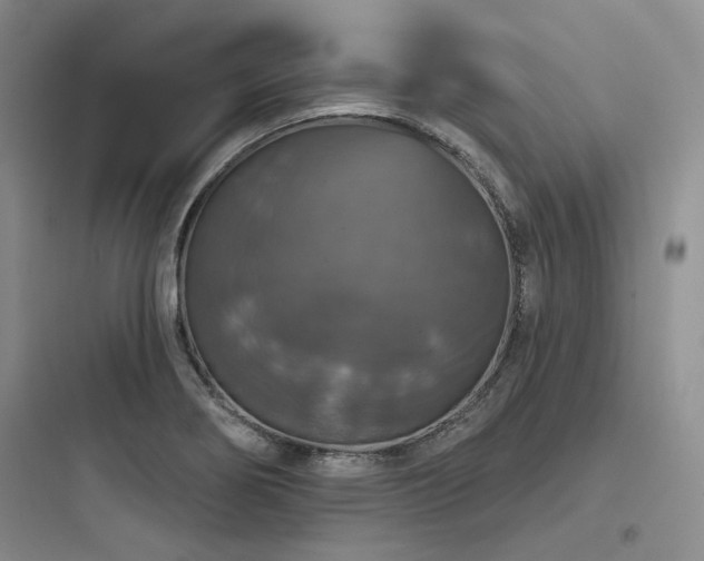 X0000097991274200803241333