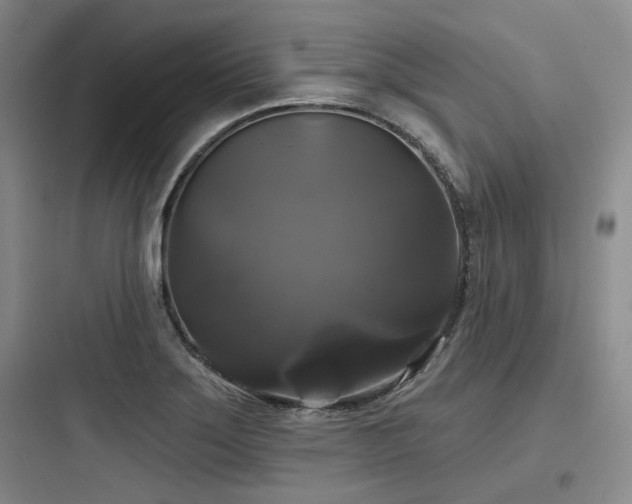 X0000097991275200803241333