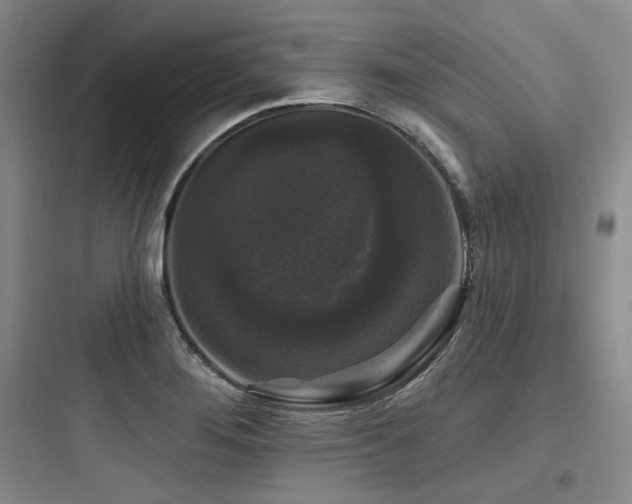 X0000097991276200803241333