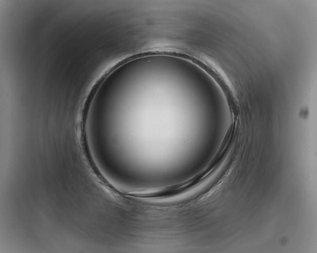 X0000097991277200803241333