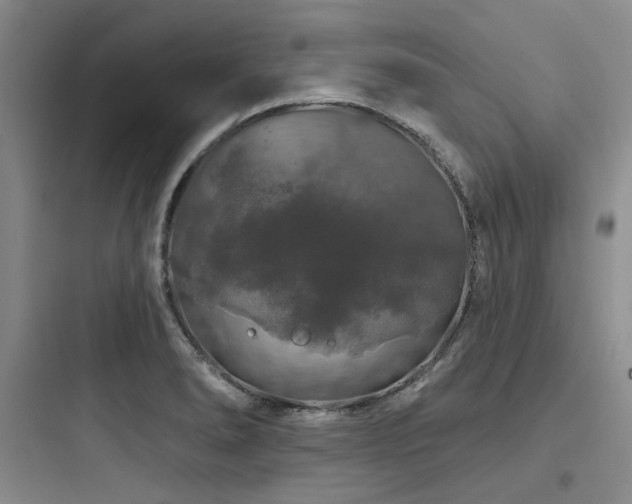 X0000097991278200803241333