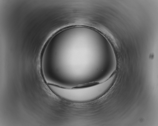 X0000097991280200803241333
