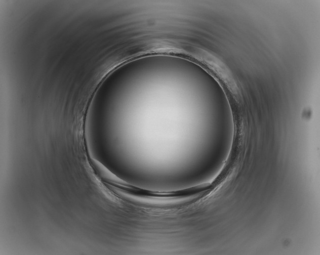 X0000097991281200803241333
