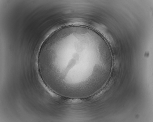 X0000097991282200803241333