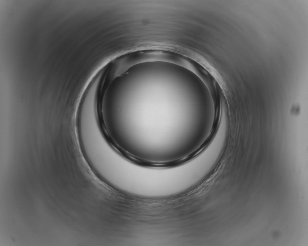 X0000097991283200803241333