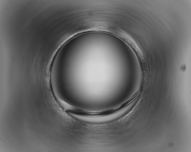 X0000097991284200803241333