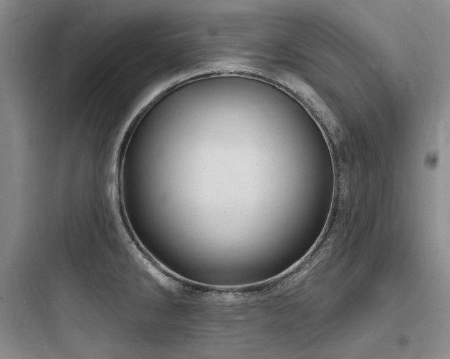 X0000097991286200803241333
