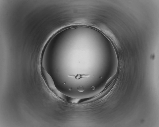 X0000097991288200803241333