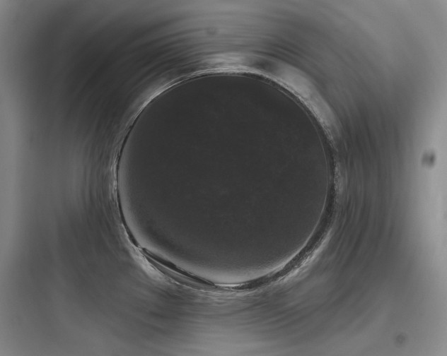 X0000097991289200803241333