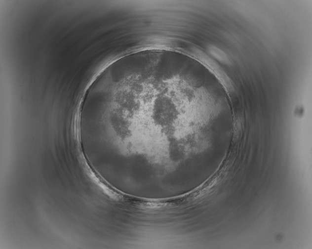X0000097991290200803241333