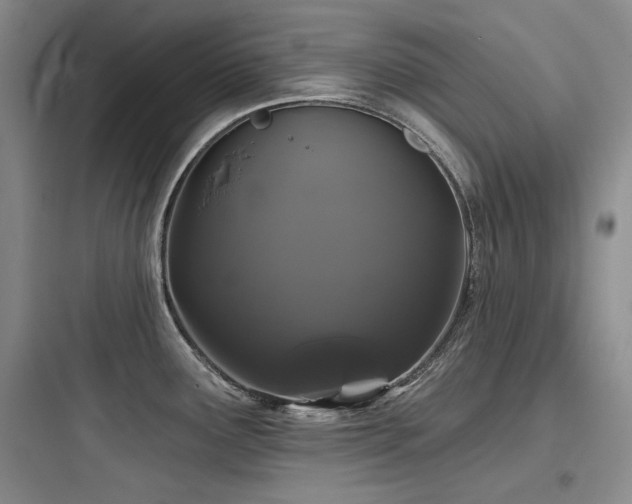 X0000097991291200803241333