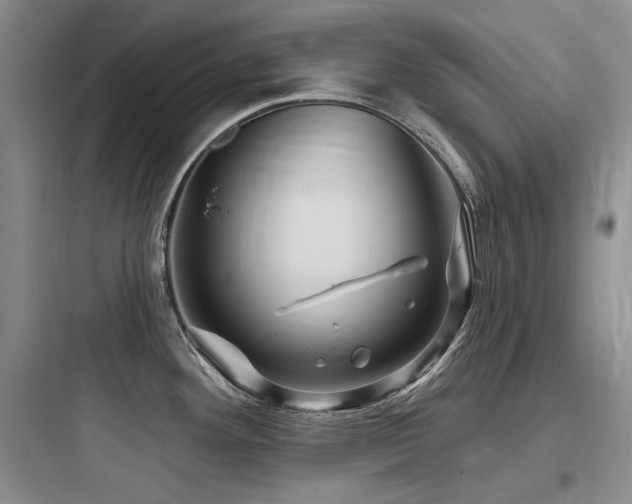 X0000097991292200803241333