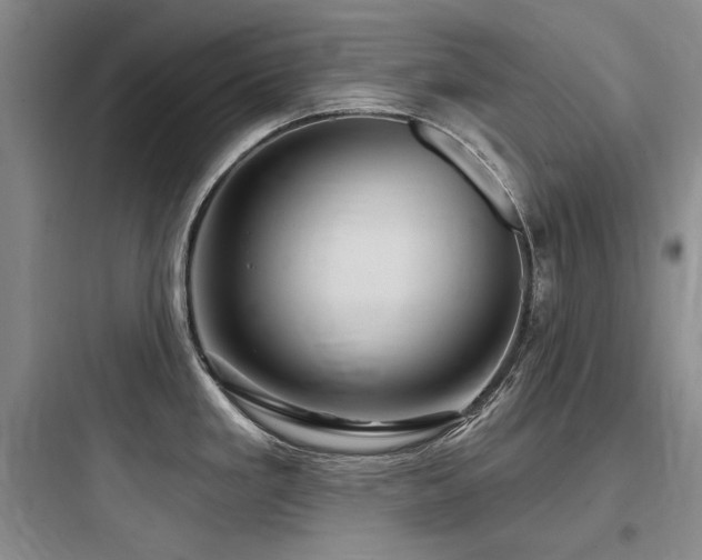 X0000097991293200803241333
