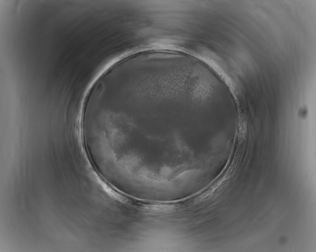 X0000097991294200803241333