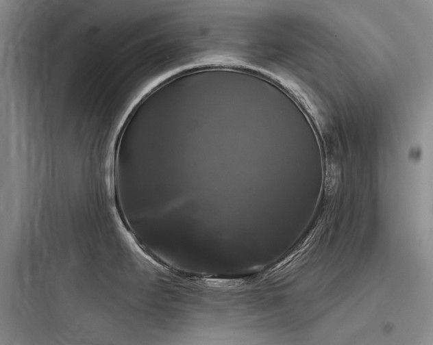 X0000097991295200803241333