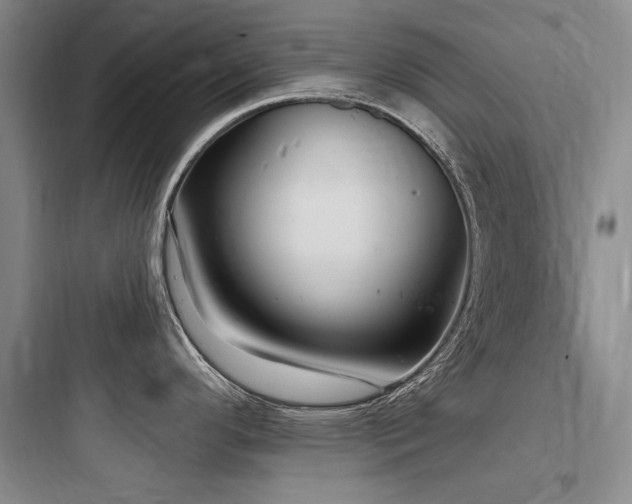 X0000097991296200803241333