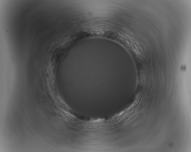 X0000097991297200803241332