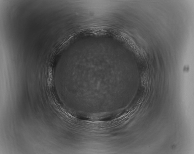 X0000097991298200803241332