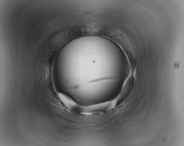 X0000097991299200803241332