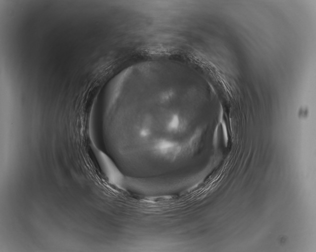 X0000097991300200803241332