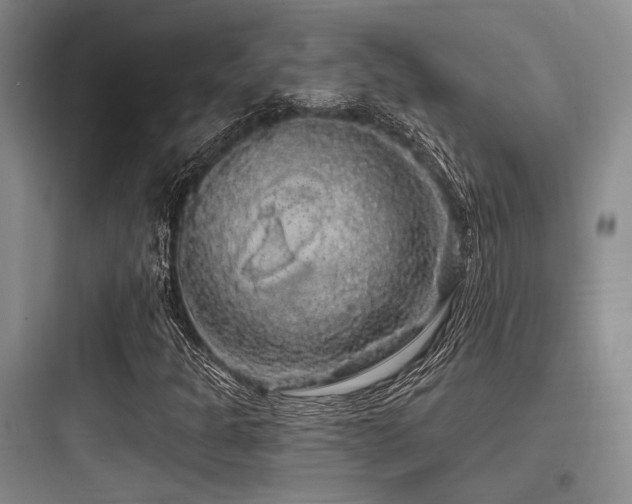 X0000097991301200803241332